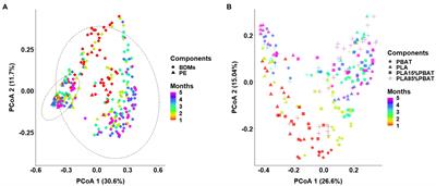 The Succession of Bacterial Community Attached on Biodegradable Plastic Mulches During the Degradation in Soil